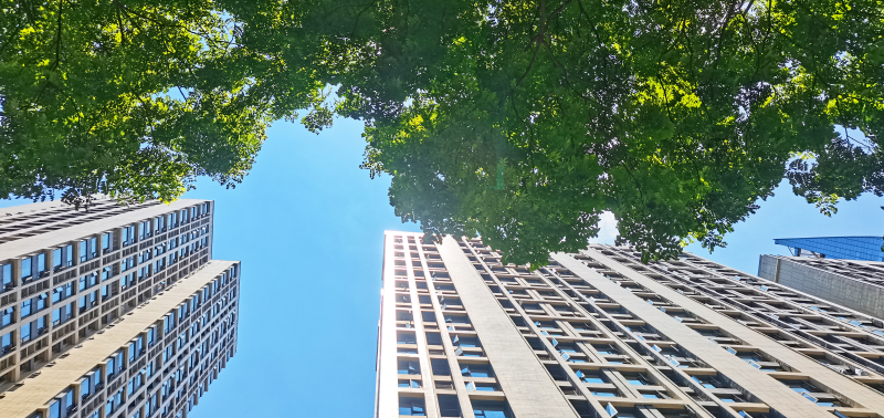 與自然和諧相處