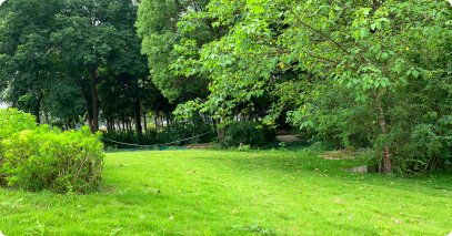 生物多樣性倡議