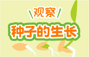 米老頭帶你了解麥苗的成長(cháng)