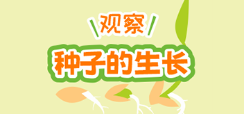 米老頭帶你了解麥苗的成長(cháng)