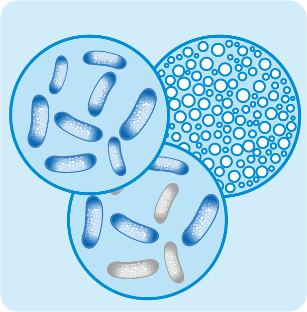 什么是食物凍干技術(shù)？有什么優(yōu)點(diǎn)？