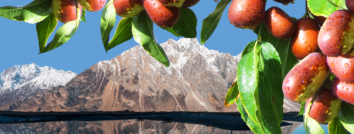 紅棗：保持傳統，適應潮流